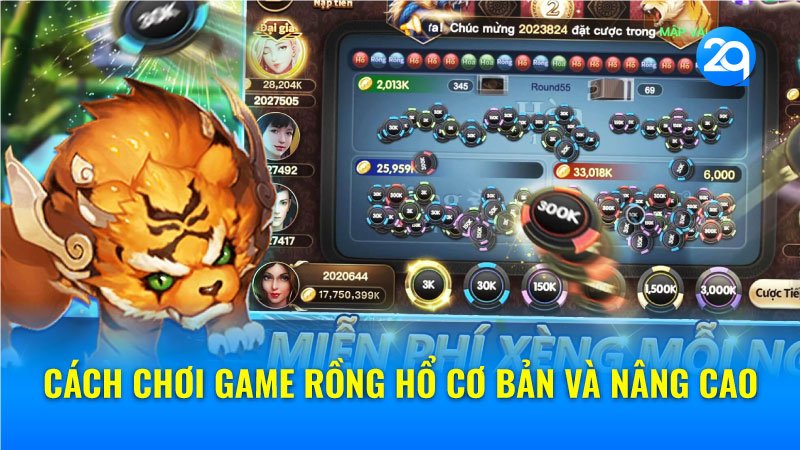Cách Chơi Game Rồng Hổ Cơ Bản và Nâng Cao