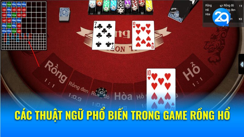Các Thuật Ngữ Phổ Biến Trong Game Rồng Hổ