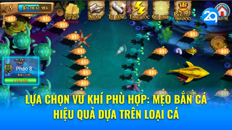 Lựa chọn vũ khí phù hợp: Mẹo bắn cá hiệu quả dựa trên loại cá