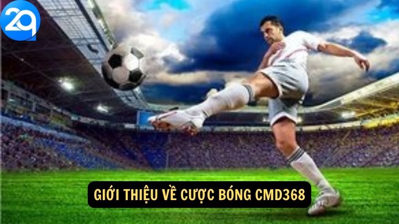 Giới thiệu về Cược bóng CMD368