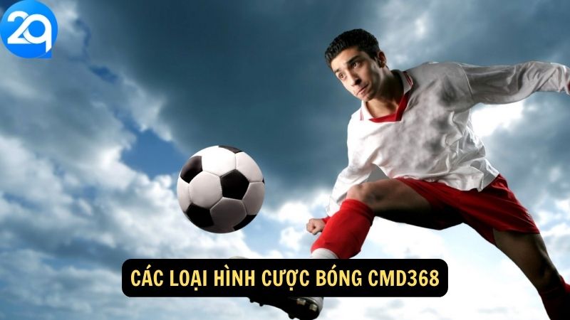 Các loại hình Cược bóng CMD368