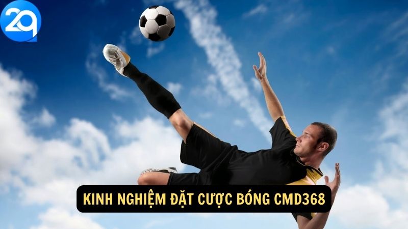 Kinh nghiệm đặt Cược bóng CMD368