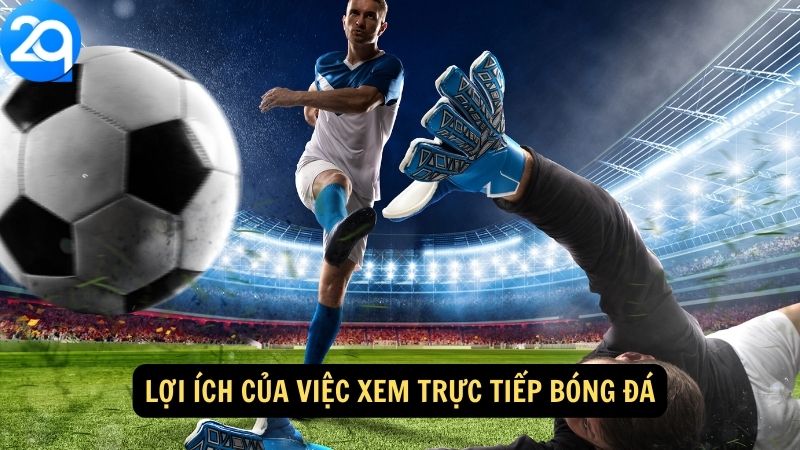 Lợi ích của việc xem trực tiếp bóng đá