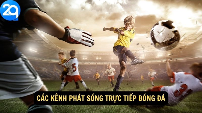 Các kênh phát sóng trực tiếp bóng đá