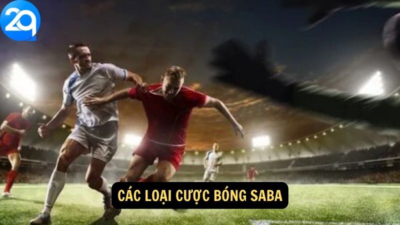 Các loại cược bóng saba
