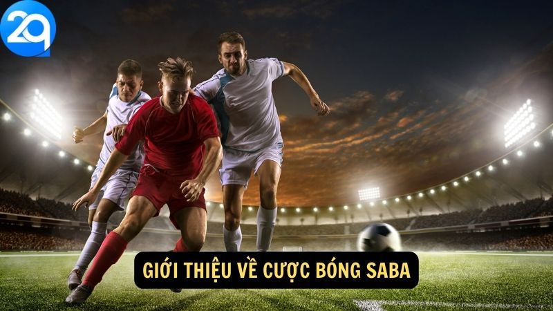 Giới thiệu về cược bóng saba