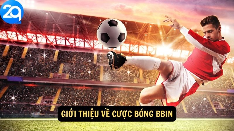 Giới thiệu về cược bóng bbin