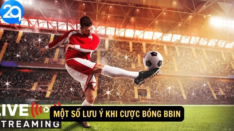 Một số lưu ý khi cược bóng bbin